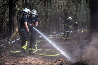 Vedra, sucho, tisíce mrtvých. Německo kvůli klimatu řeší změnu ústavy - Seznam Zprávy